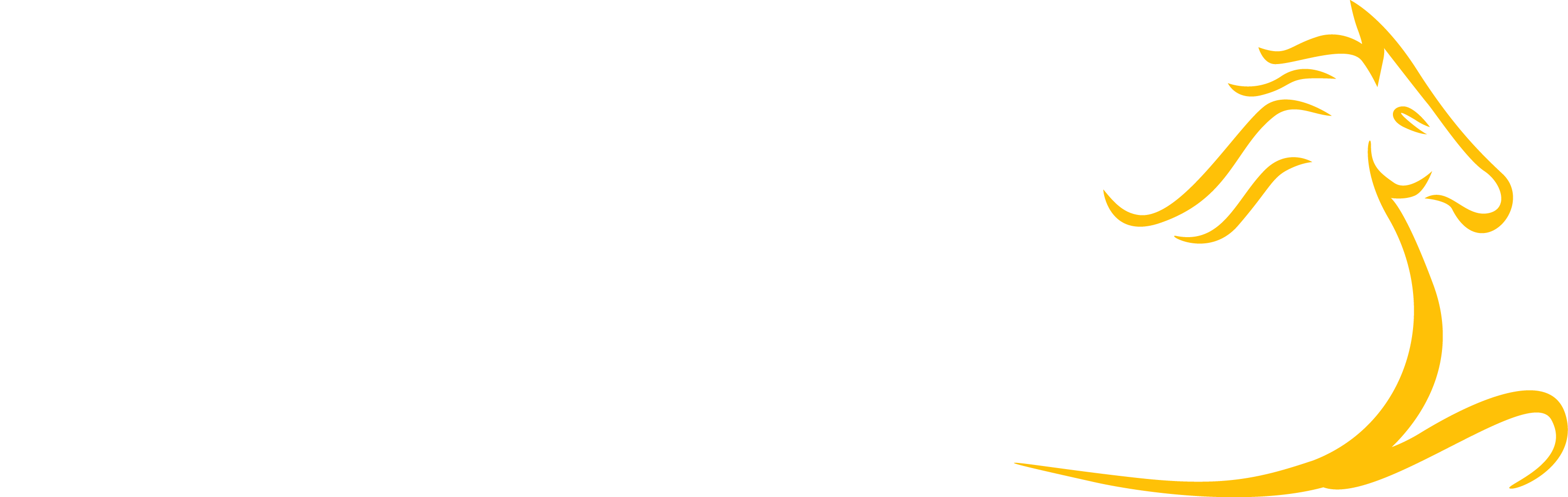 Pinjarra Park | Pinjarra Race Club Pinjarra Park | Pinjarra Race Club