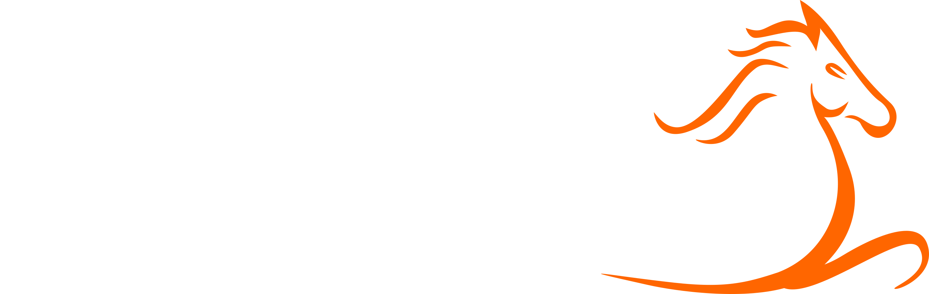 Pinjarra Park | Pinjarra Race Club Pinjarra Park | Pinjarra Race Club